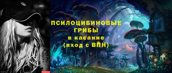 бошки Арсеньев